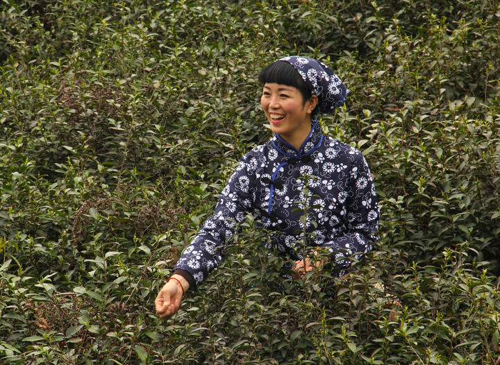 主播跳舞 影视3